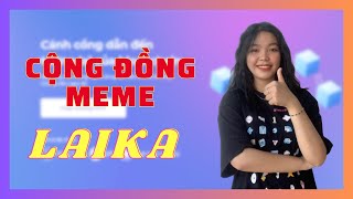 Laika Review - Một trong những  cộng đồng hoạt động Meme mạnh mẽ nhất