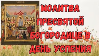 Молитва Пресвятой Богородице в день Успения, молитва 28 августа