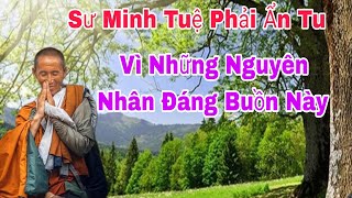 Sư Minh Tuệ Tiếp Tục Dừng Việc Đi Khất Thực Và  Tiếp Tục Ẩn Tu Vì Những Lý Do Đáng Buồn Này