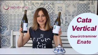 Cata Vertical Enate | Variedad Gewürztraminer  | Cata y opinión de vinos | D.O. Somontano |