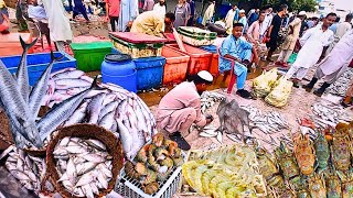 Explore Karachi Fishery & Current Fish Prices 2024" Morning Fish Market | Seafood At Wholesale Rates