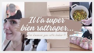 Vlog du 29 au 30 juillet : Il l’a super bien rattraper...Dur d’avancer avec cette chaleur !!!