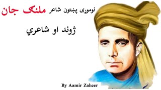 Malang Jan | Great Pashto Poet | Life and Poetry | in Pashto | by Aamir Zaheer