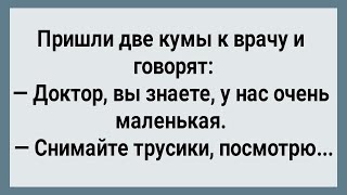 Как Две Гулящие Кумы к Врачу Сходили! Сборник Свежих анекдотов! Юмор!