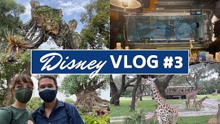 Disney Vlog #3 | Animal Kingdom, learning about Disney veterinary team | August 24, 2021