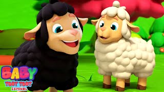 Baa Baa Canción de Oveja Negra y Más Videos de Aprendizaje para Bebes