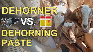 DEHORNER VS. DEHORNING PASTE