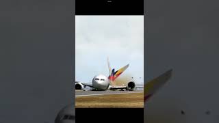 Short Air Crash (Mary On a Cross)