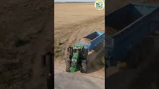 Potatoes harvesting big machines fendt 💯🔥