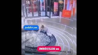 Se cae a la fuente por ir en el celular.#JordiDice🗣️ #celular #amistad #familia #agua #compras