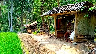 Suasana Kampung Pedalaman Yang Tenang Dan Ramah  | Padesaan Jawabarat