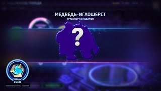 Медведь-иглошерст