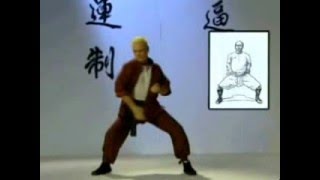 Hung Gar - Gung Ji Fook Fu Kuen