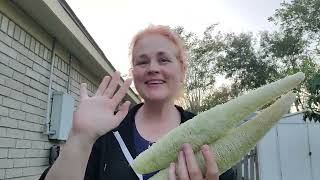 Episode 56: I grew a loofah!!! #gardening #loofah #excited