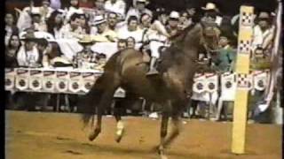 Daniela Ochoa montando a Gardel del 8 en la III Copa America