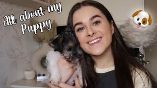 Puppy Q&A | Meet my NEW PUPPY