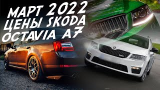 ПОЕДЕМ ПОГЛЯДИМ SKODA OCTAVIA от 800 до 1600т.р.