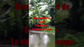 waoohh que cantidad de agua!! #suscribete #comparte #comenta #dalelike #viralvideo