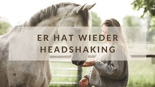 ER HAT WIEDER HEADSHAKING 😔⎪Harriet Charlotte Jensen