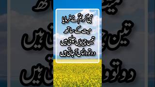 Mayat Ka Akhri Safar 😭| Islamic Hadees Status | Hadith Of Prophet Muhammad PBUH | Hadees in Urdu