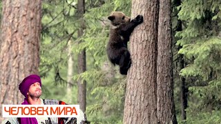 Финляндия. На хвосте у Йоулупукки. Часть 1. Человек мира 🌏 Моя Планета