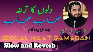 Dilo'n Ka Tarana || Mufti Saeed Arshad || Slow and Reverb || New Nasheed 2024.