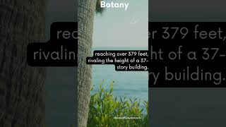 Fact for day - Botany #shorts #facts #botany