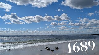 Grounded Suburbia 1689 Days — Cascading Waves 8K