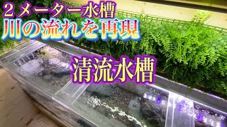 【水槽小屋】清流水槽①淡水魚用の２メーター水槽立ち上げました！