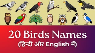 Learn Birds Name Hindi & English Language Both | पक्षियों के नाम | Birds Name | Birds Names