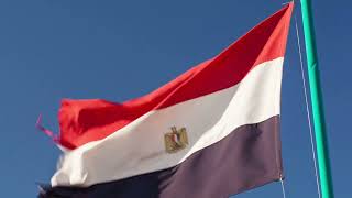 Egypt flag waving in winds stock footage