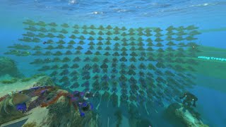 Making A Seamoth Every Day Until Subnautica 2: Day 220