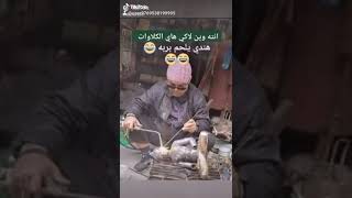 😂😂😂هندي يلحم بربه