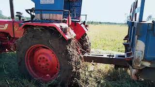 Mahindra 575Di in deep mud with  paddy load