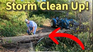 Grapple & Chainsaw: Cleaning Up Remnants of Hurricane Helena