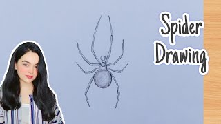 How To Draw A Spider Step By Step | Spider Drawing Very Easy | Insect Drawing