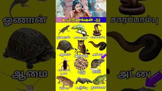 உயிரினங்கள் -02 பெயர் பாடல்கள் 🦎🐜🪳🐢🐁#trandingshorts #timepasspanunga #trandingshort #songstatus