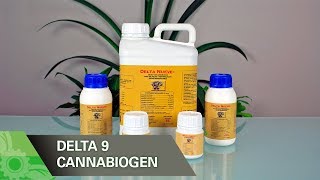 Delta 9 de Cannabiogen