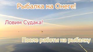 Рыбалка на Онежском озере!! Ловим судаков после работы