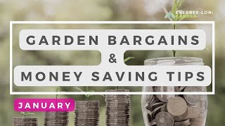 Garden Bargains🪴and Money Saving Tips 👛 - JANUARY | EVERBEE🐝- Ldn: GARDEN