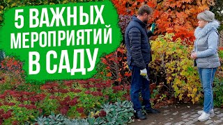 Осенние работы в саду. Подготовка огорода к зиме. Основные работы.