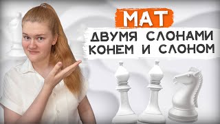 Мат слоном и конем