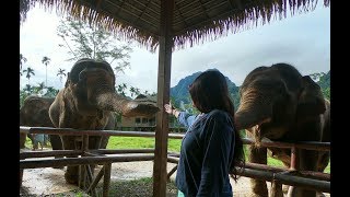 Sit with me and experience Elephant Hills at Thailand's First Luxury Tented Camps Hathi