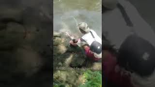 Si Akang Strike ikan besar umpan ikan nilem