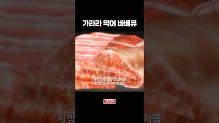 [토리코] 가라라 악어 바베큐 | 토리코 1화 | #토리코 #애니먹방