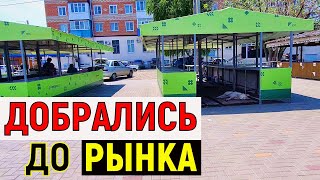 ВСЁ ЖЕ ПОПАЛИ НА РЫНОК 👨‍🌾 КОНЕЦ ОГУРЕЧНЫХ СБОРОВ 🥒