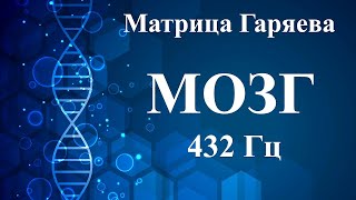 Мозг 432 Гц 💠Матрица Петра Гаряева🌞Brain 432 Hz 💠Peter Garyaev's Matrix