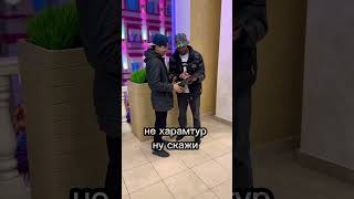 😂Алиса навигатор суетовый жёт