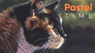 My Cat Morag in Soft Pastel - Timelapse