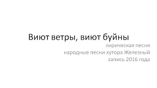 Виют витры, виют буйны